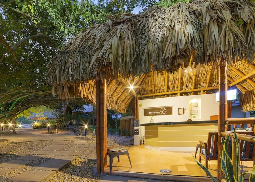 Tolima Apulo Reception