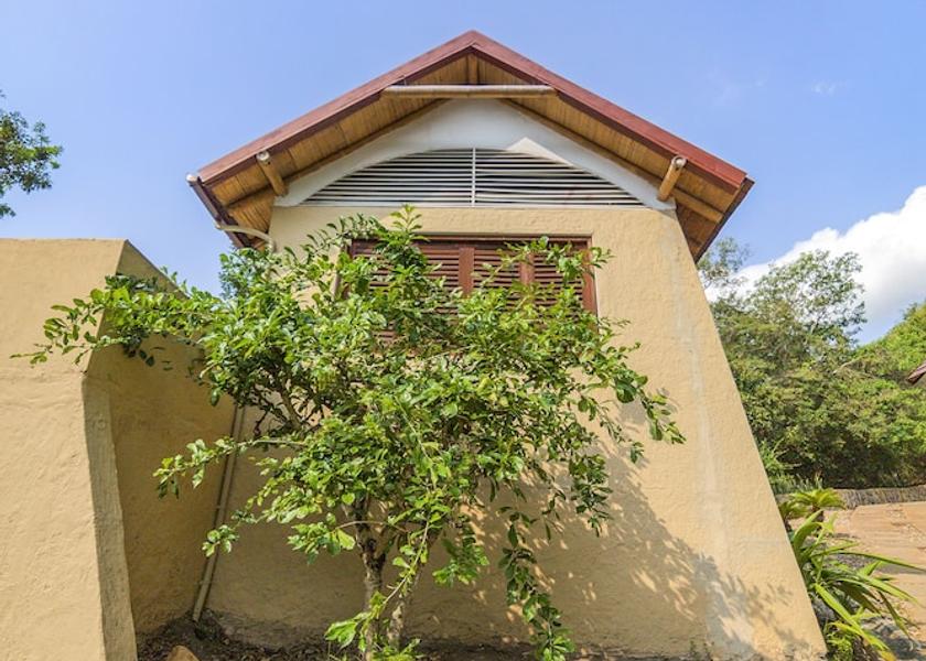 Tolima Apulo Exterior Detail