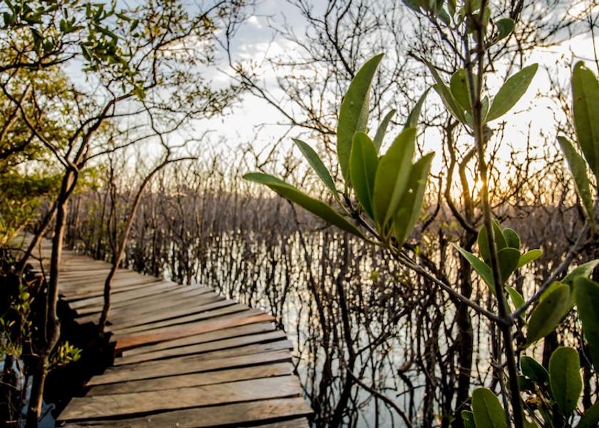 Guanacaste Tamarindo Dock