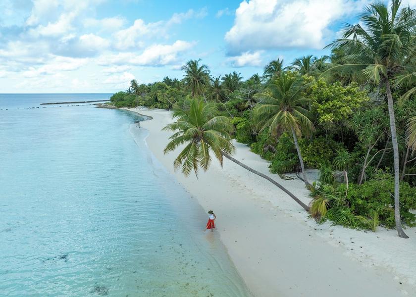 South Ari Atoll Omadhoo Beach