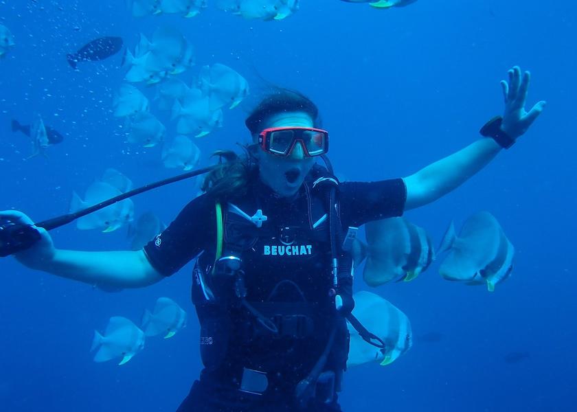 North Ari Atoll Ukulhas View from Property