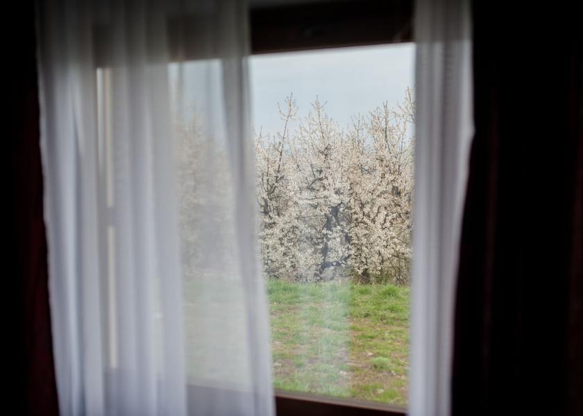 Cluj County Cluj-Napoca View From Room