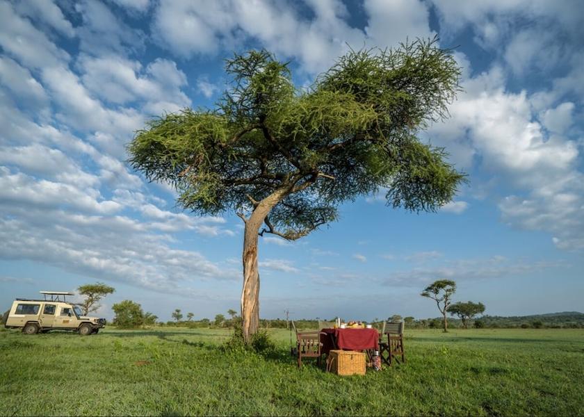 Mara Region Serengeti Safari and game