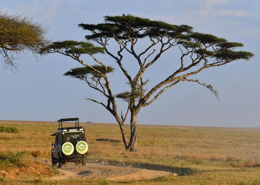 Mara Region Serengeti Property Grounds
