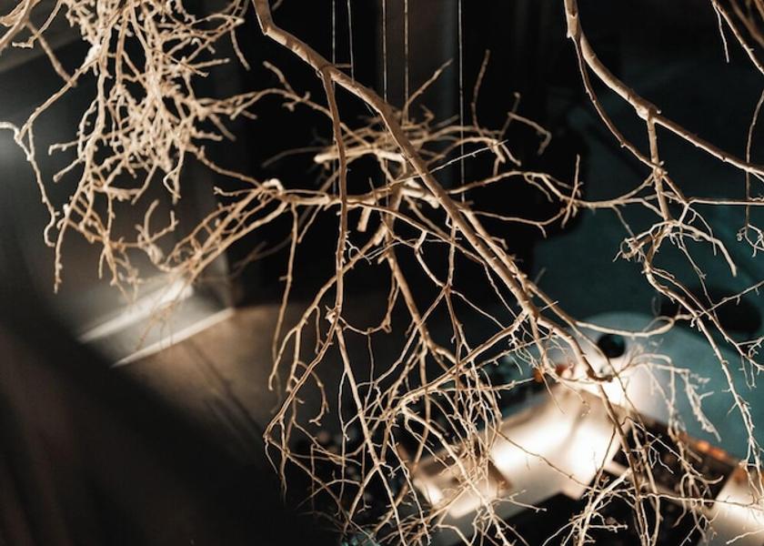 Hovedstaden Copenhagen Reception