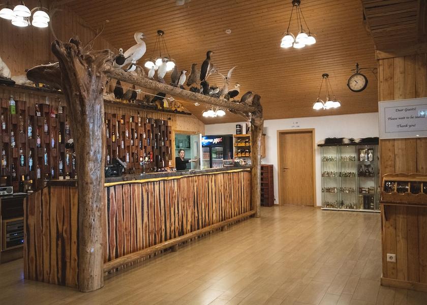 Southern Region Vik I Myrdal Bar (on property)