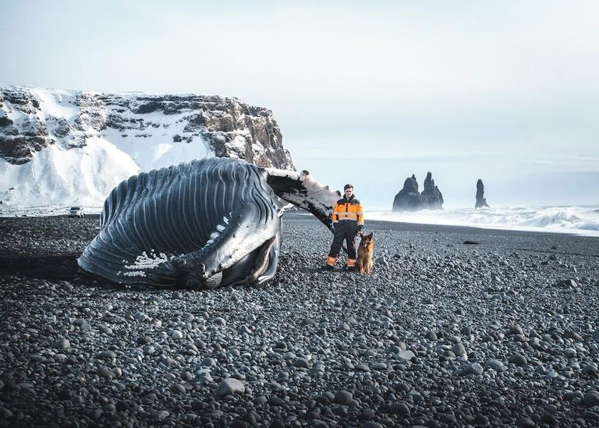 South Iceland Vik I Myrdal Property Grounds