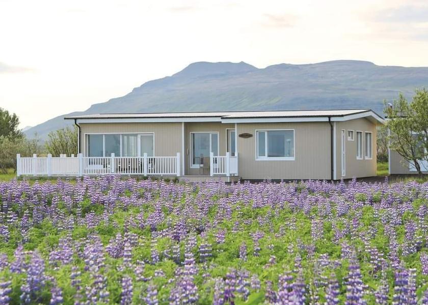 Western Region Hjardarfell In-Room Amenity