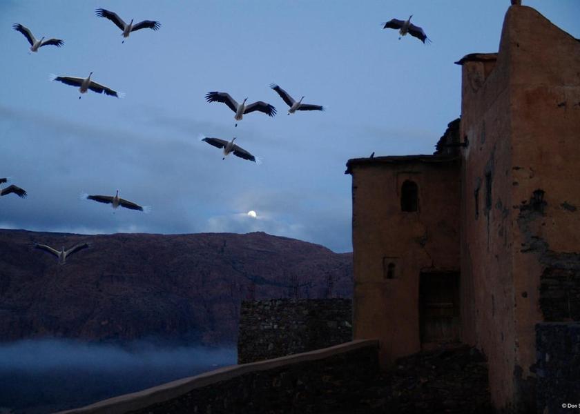  Ida Ougnidif Exterior Detail