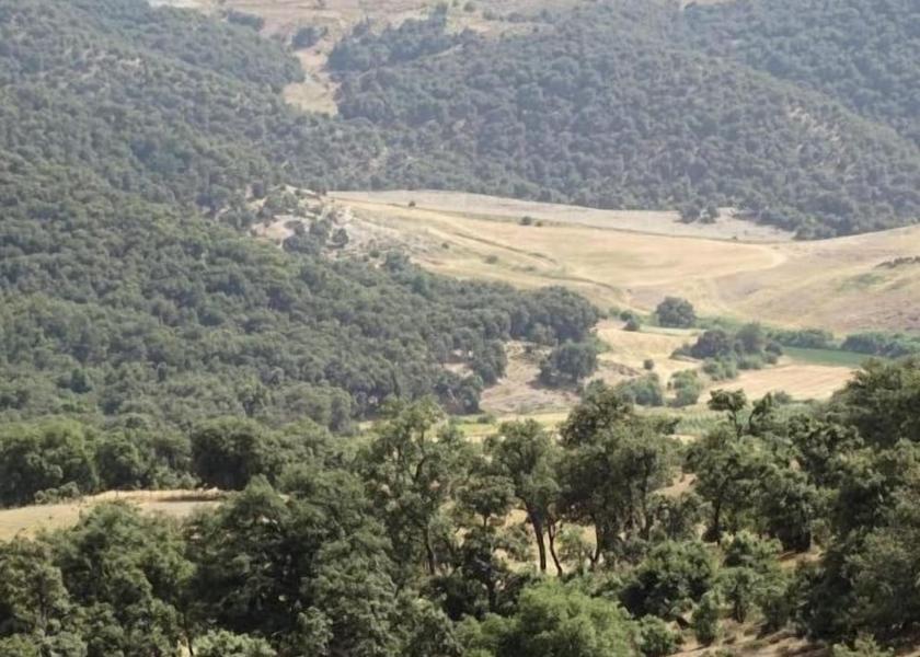  Zaouia Ben Smine Property Grounds