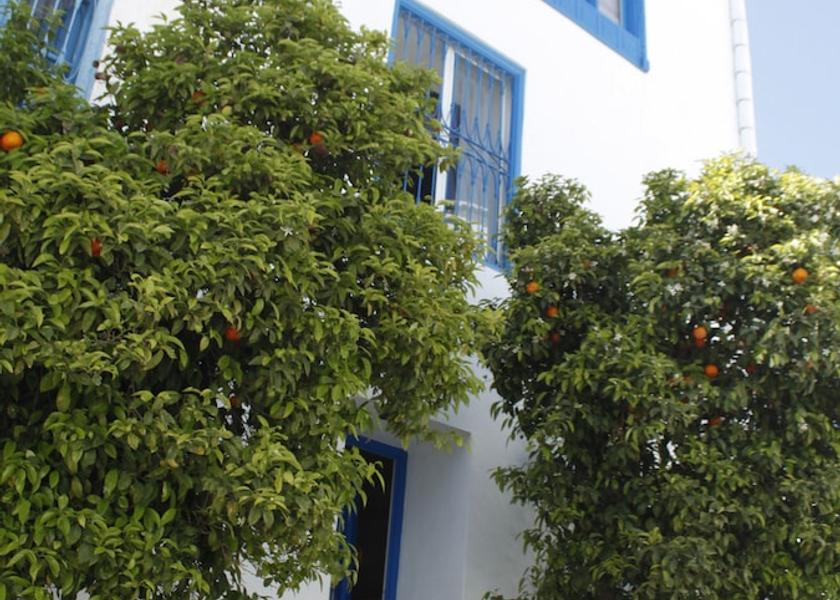  Sidi Bou Said Front of property