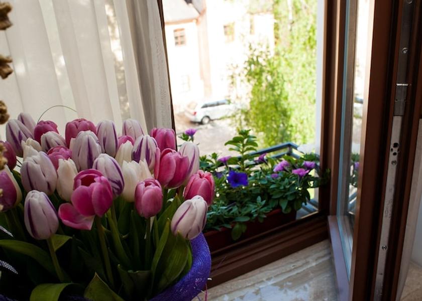  Lviv View from Property