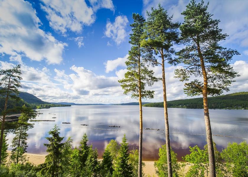 Gavleborg County Vallsta View from Property