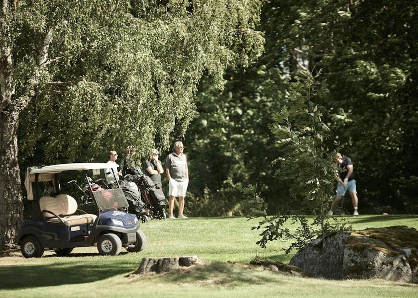 Västra Götaland County Skovde Golf cart