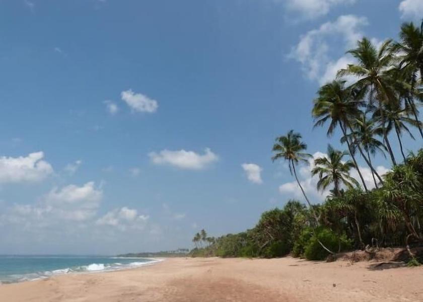 Southern Province Rekawa View from Property