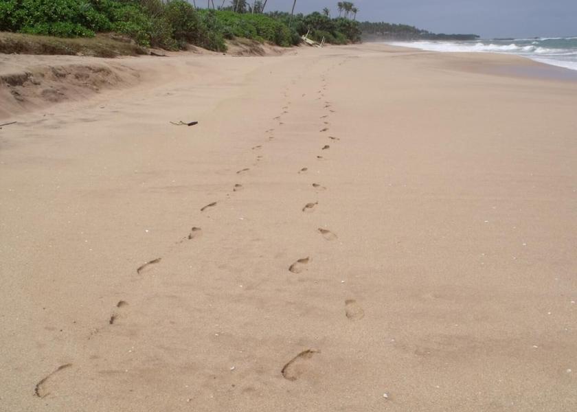 Southern Province Rekawa Beach