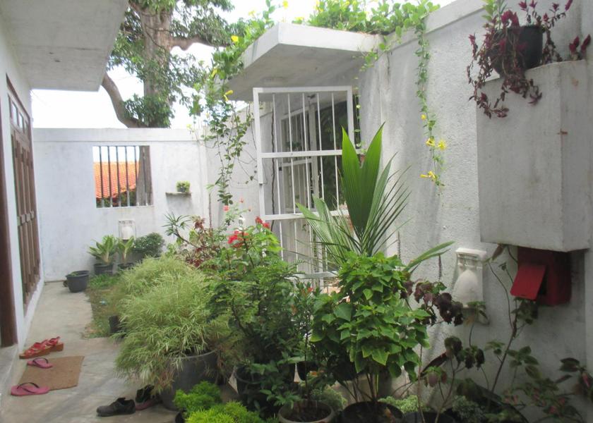 Western Province Mount Lavinia Garden