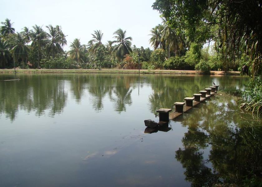 North Central Province Polonnaruwa Lake