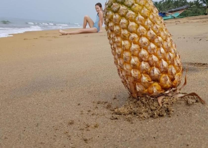 Western Province Wadduwa Beach