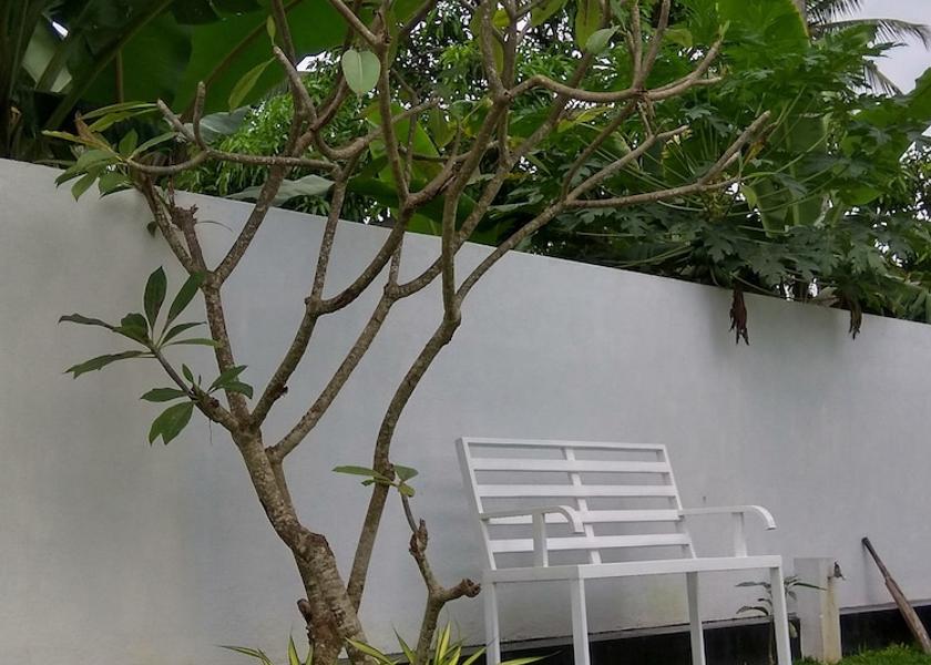 Western Province Seeduwa - Katunayake Garden