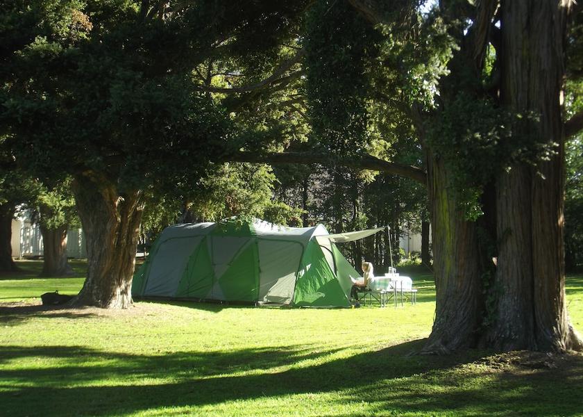 Wellington Region Greytown Property Grounds