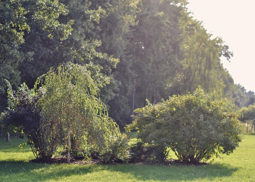 Lodz Voivodeship Nieborów Property Grounds