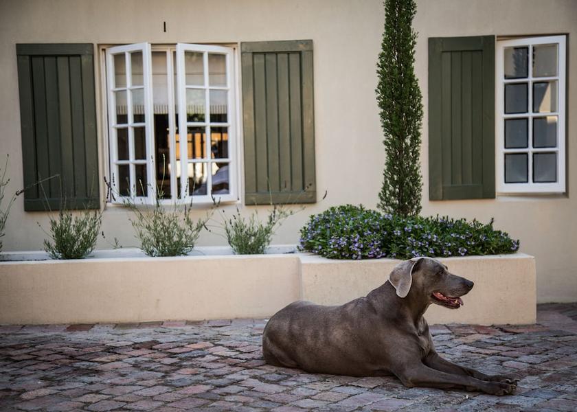 Western Cape Franschhoek Facade