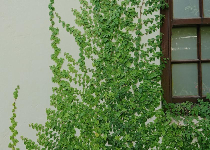 Western Cape Swellendam Exterior Detail