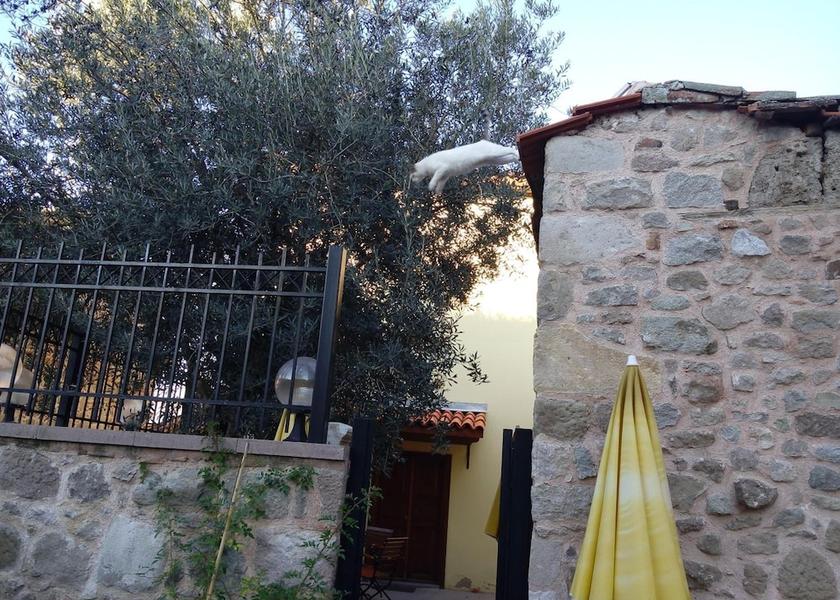 Izmir Bergama Garden