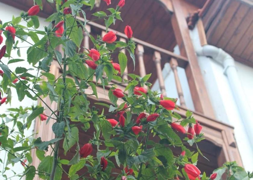 Izmir Seferihisar Exterior Detail