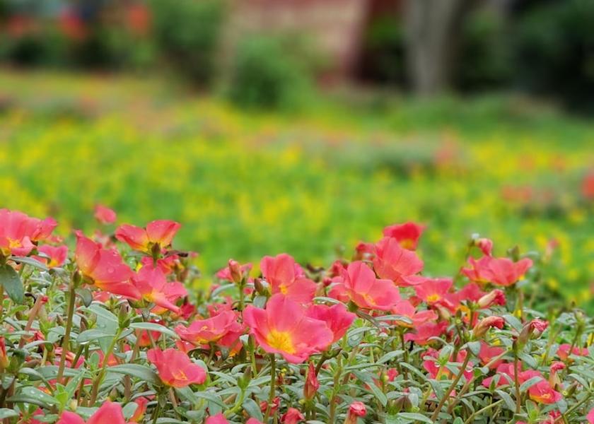 Quang Binh Dong Hoi Facade