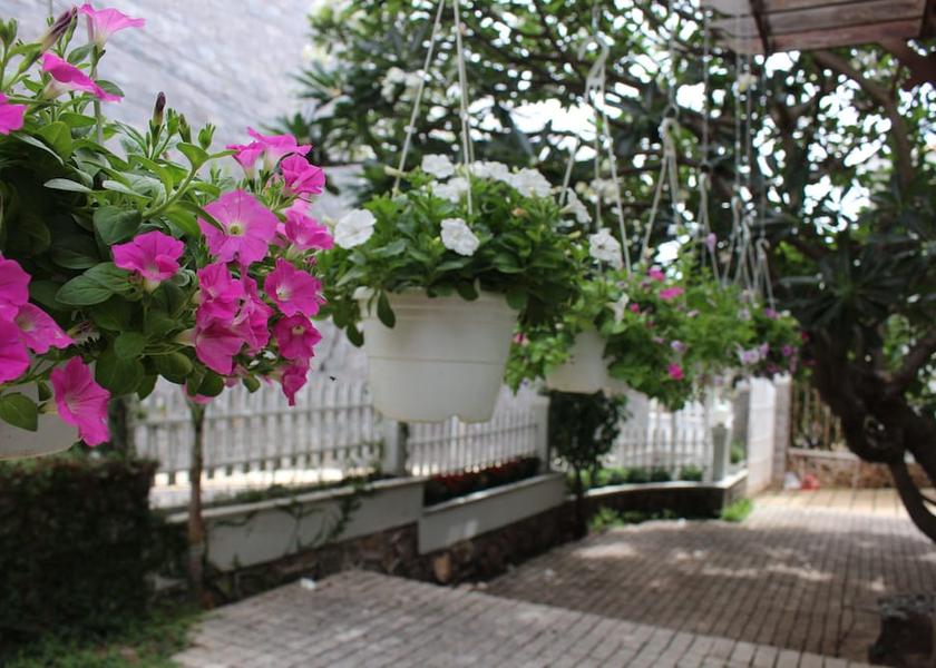 Ba Ria-Vung Tau Vung Tau Property Grounds