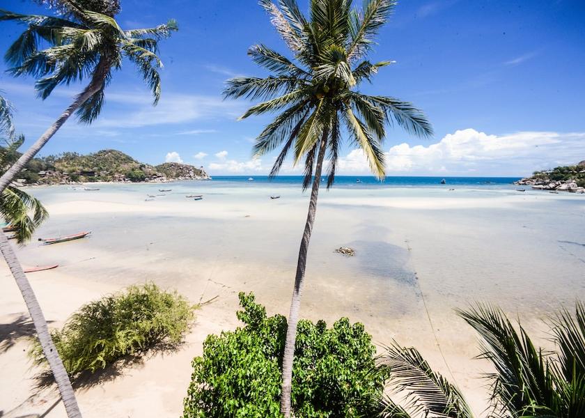 Surat Thani Koh Tao Beach