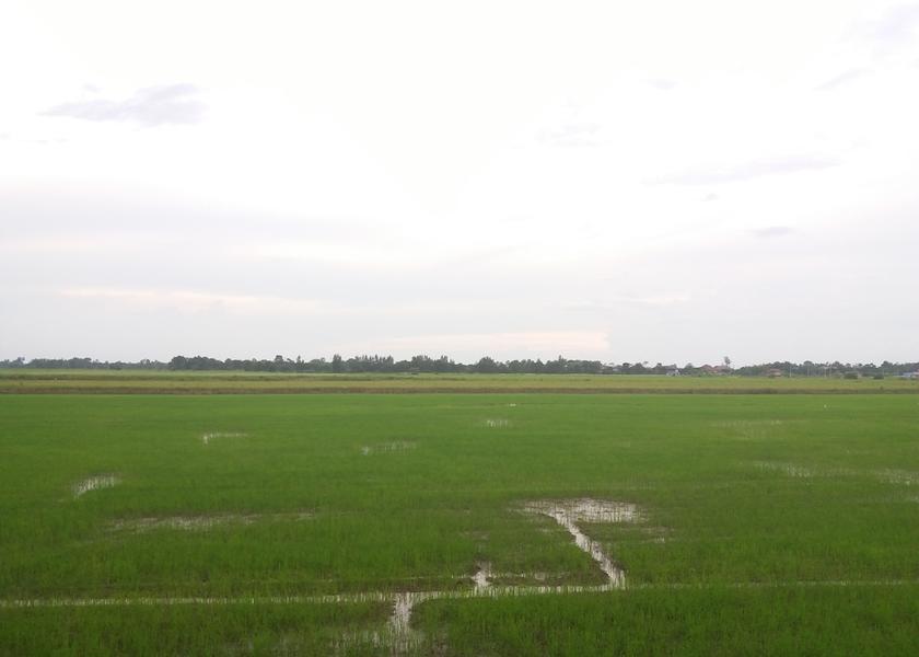Nakhon Nayok Province Nakhon Nayok View from Property