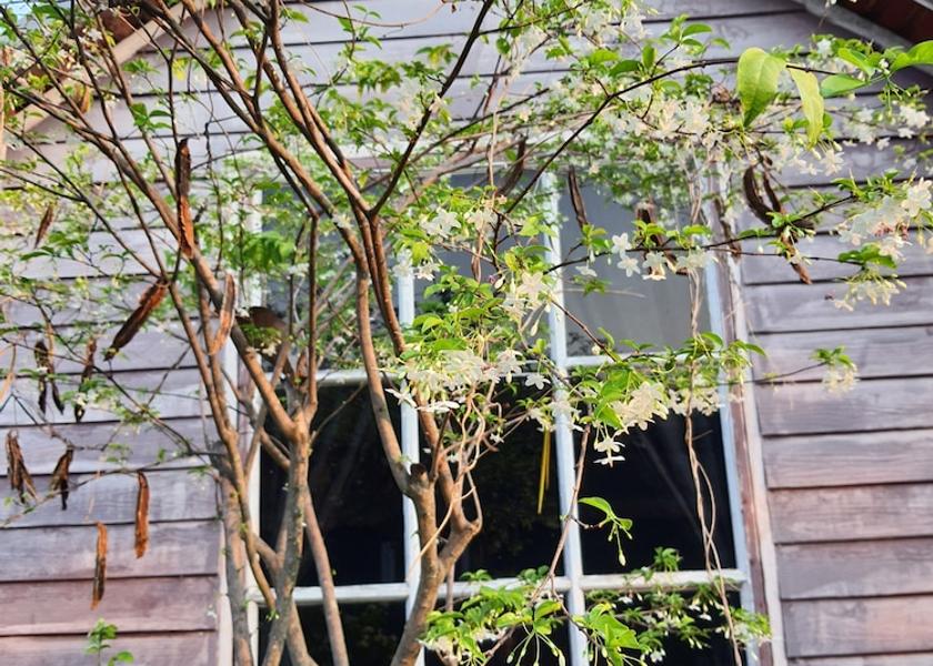 Prachin Buri Prachantakham Facade