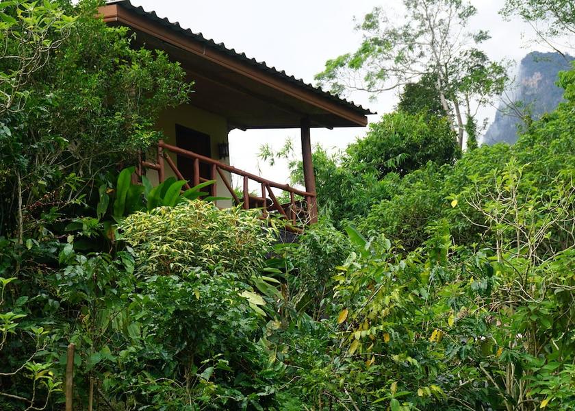 Chiang Mai Province Chiang Dao Property Grounds