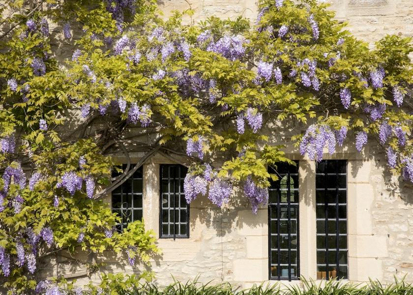 England Wantage Garden