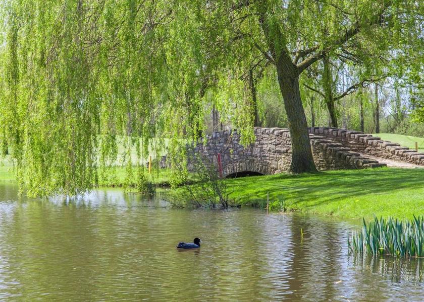 England Ferndown Lake