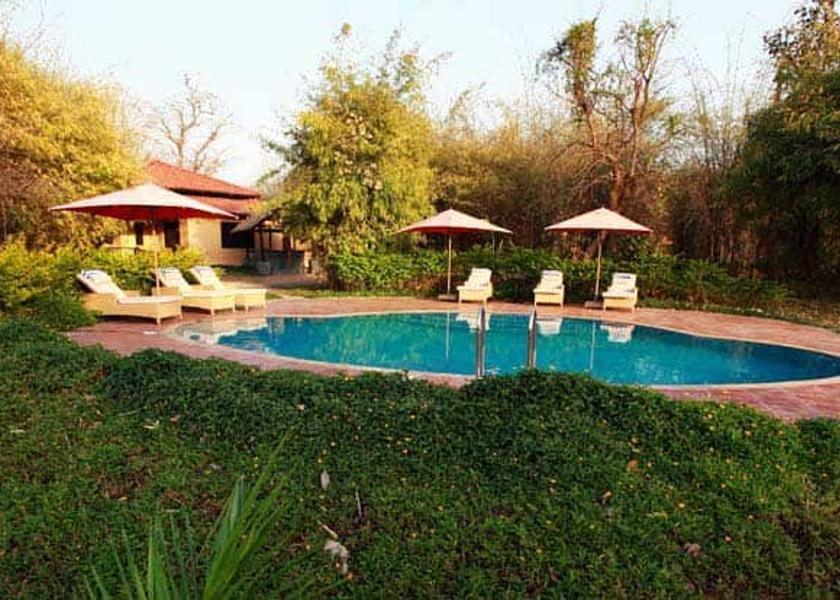 Madhya Pradesh Rakhi Amodar swimming pool area