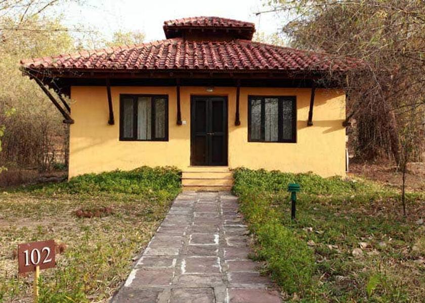 Madhya Pradesh Rakhi Amodar Overview