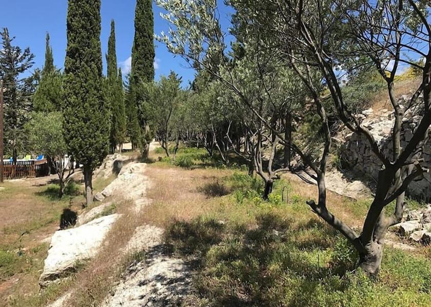 Limassol District Vasa Property Grounds