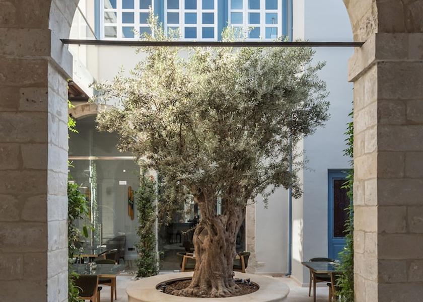 Limassol District Limassol Courtyard