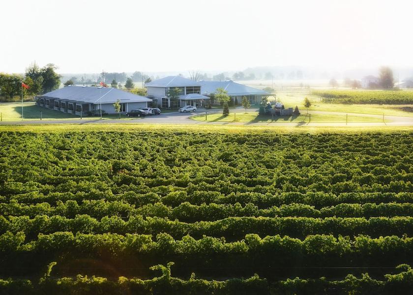 Ontario Prince Edward Land View from Property