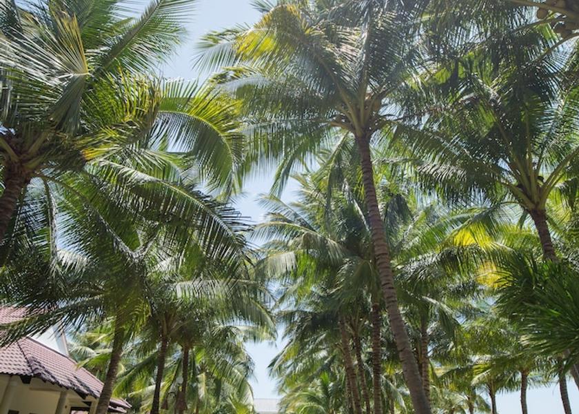 Khanh Hoa Province Nha Trang Garden
