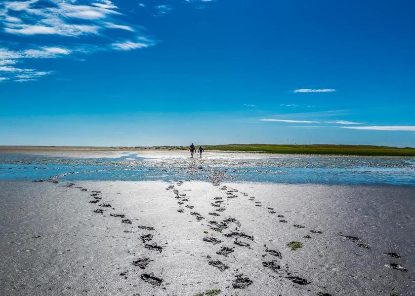 Schleswig-Holstein Westerdeichstrich Beach