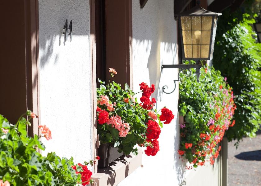 Baden-Württemberg Glottertal Terrace/patio