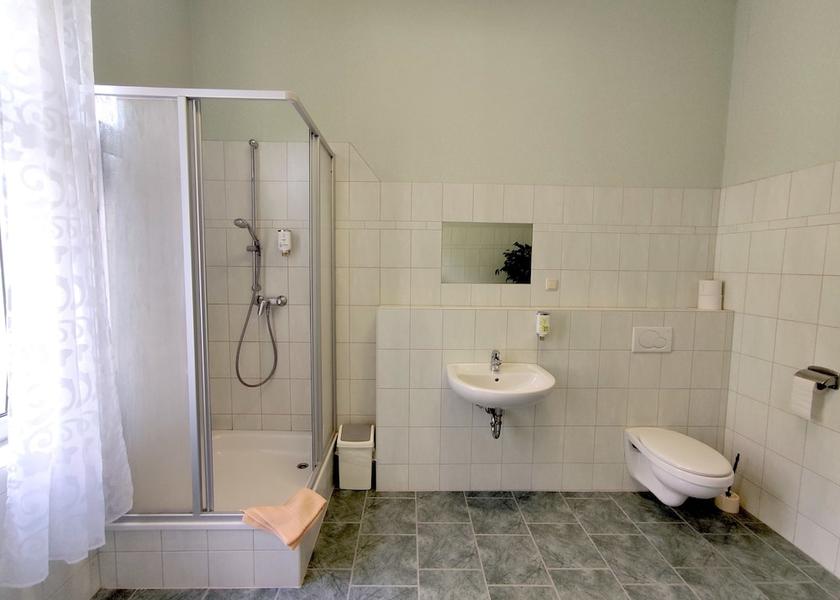 Saxony-Anhalt Oberharz am Brocken Bathroom