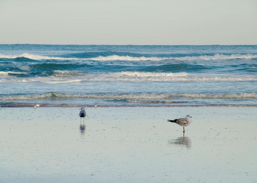 Florida Daytona Beach Shores Beach