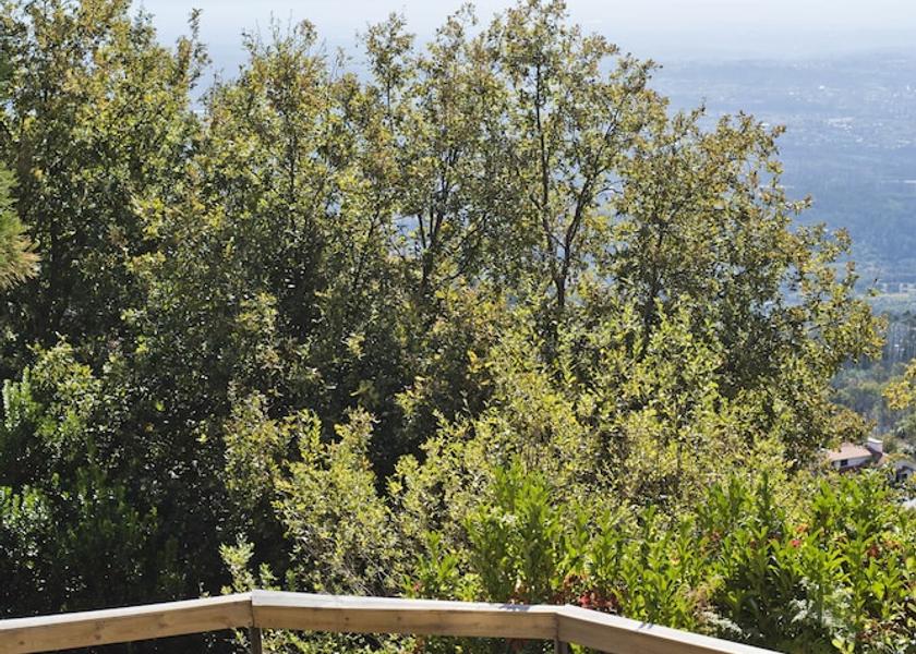 Viseu Tondela Garden