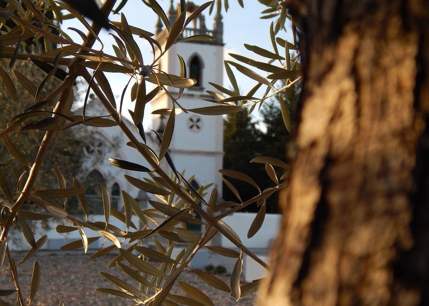 Norte Vimioso Exterior Detail